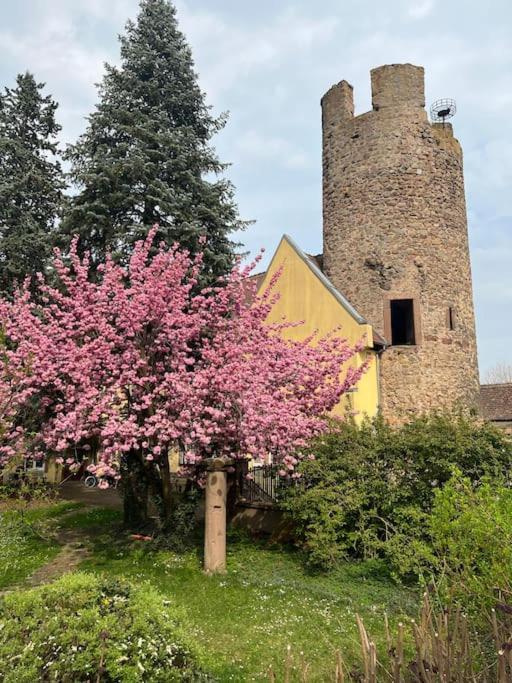La Jolie Maison Bleue, Au Coeur De L'Alsace كايزرسبرغ المظهر الخارجي الصورة