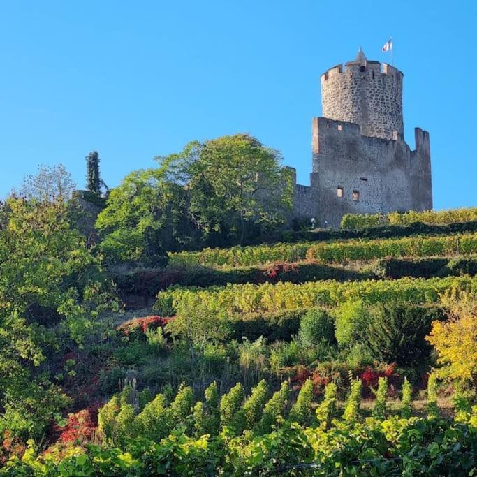 La Jolie Maison Bleue, Au Coeur De L'Alsace كايزرسبرغ المظهر الخارجي الصورة