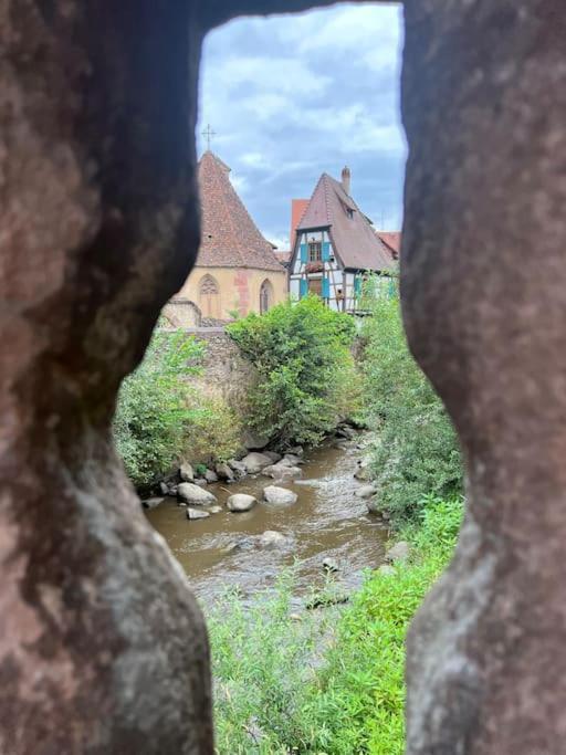 La Jolie Maison Bleue, Au Coeur De L'Alsace كايزرسبرغ المظهر الخارجي الصورة