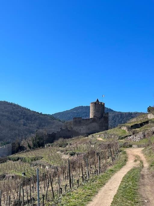 La Jolie Maison Bleue, Au Coeur De L'Alsace كايزرسبرغ المظهر الخارجي الصورة